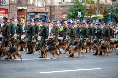 Ukrayna, Kyiv - 18 Ağustos 2021: Cynoloji servisinin Cynologistleri. Sınır muhafızında çoban köpekleri var. Geçit töreninde Ukrayna askeri yürüyüşü. Ordu piyadesi. Sokaktaki adamlar. Üniforma
