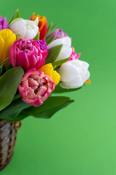 Mischung Aus Frühlingsblumen Hintergrund Mit Blumen Tulpen Nahaufnahme Verschiedenen Farben — Stockfoto