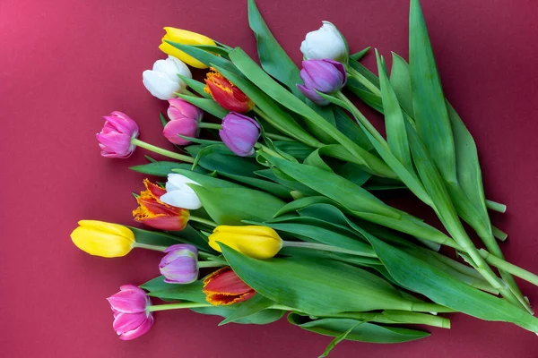 Bunte Tulpen Auf Rotem Hintergrund Frühlingsstrauß Blumen Von Oben Gesehen — Stockfoto