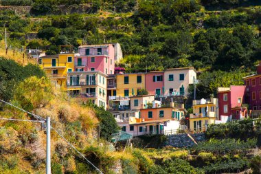 Uçurumdaki parlak renkli evler. Manarola İtalyan köyü Liguria deniz kenti mimarisi. Cinque Terre 'de. İtalya, Manarola