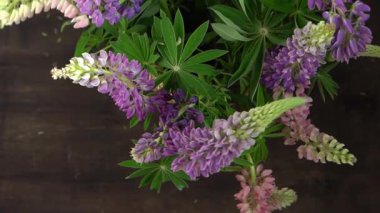 Lupine çiçekleri. Mor ve pembe tomurcuk buketi.