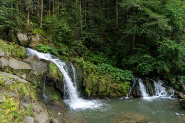 Ormandaki dağ şelalesi. Yeşil doğa. Ukrayna Karpatları 'nın nehir kayasındaki Kamianka Gölü suyu