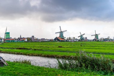 Zaanse Schans Hollanda köyündeki yel değirmenleri. Hollanda yeşili