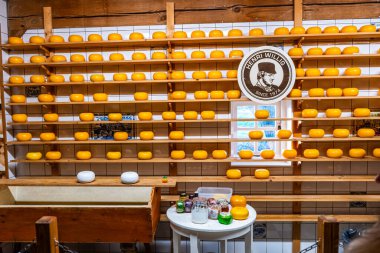 Zaanse Schans, Hollanda - 27 Ekim 2025: Peynirli raflar. Henri Willing peynir dükkanı. Hollanda geleneksel gıda çiftliği