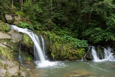 Ormandaki dağ şelalesi. Yeşil doğa. Ukrayna Karpatlar 'ın nehir deresinde Kamianka Gölü suyu