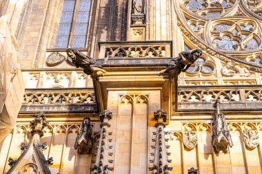 Prag Çek Cumhuriyeti 'ndeki Gargoyle Saint Vitus Katedrali Kilisesi. Praha Kalesi 'nin Gotik mimarisi. Eski tarihi yapı..