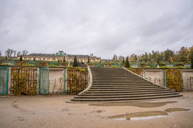 Almanya 'nın Potsdam kentinde Kral II. Frederick' in Sanssouci Sarayı. Rococo tarzında eski bir mimari. Sarı cephe ve bahçe merdivenleri.
