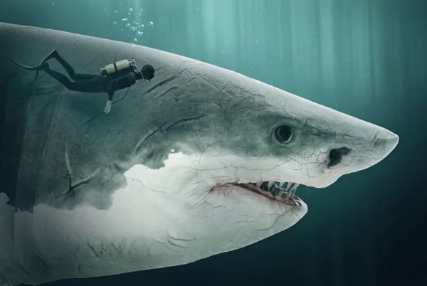 Diver Encounters Megalodon Illustration — Stock Photo, Image