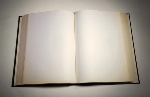 빈 흰색 페이지를 열려 있는 책에 — 스톡 사진