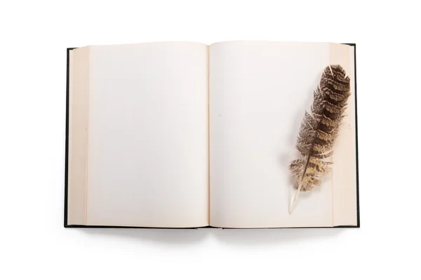 Açık bir kitap ve tüy kalem — Stok fotoğraf