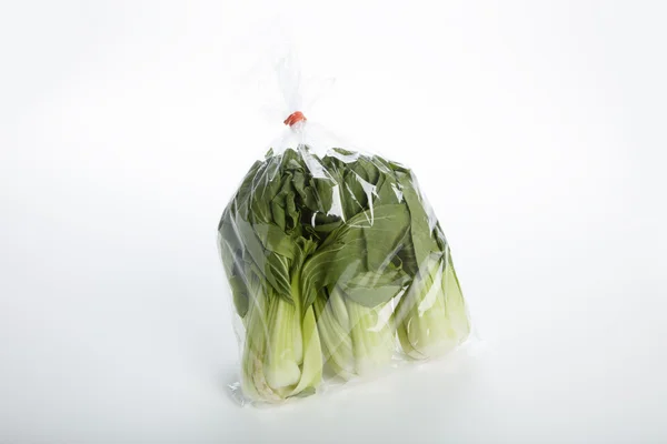 Bok Choy vegetal — Fotografia de Stock