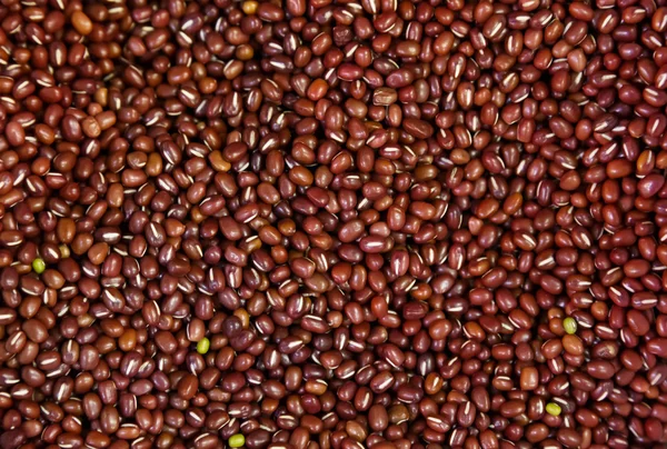 Červené fazole pro pozadí — Stock fotografie