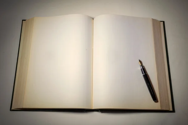 Бланшировать белые страницы в открытой книге — стоковое фото