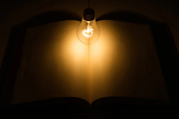 Book and light bulb — Stock Photo, Image