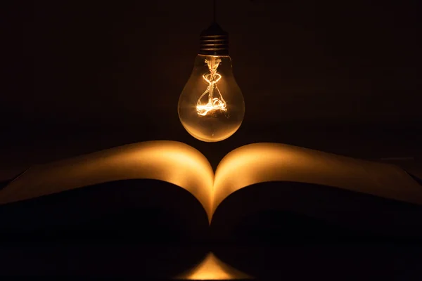 A könyv és a villanykörte — Stock Fotó