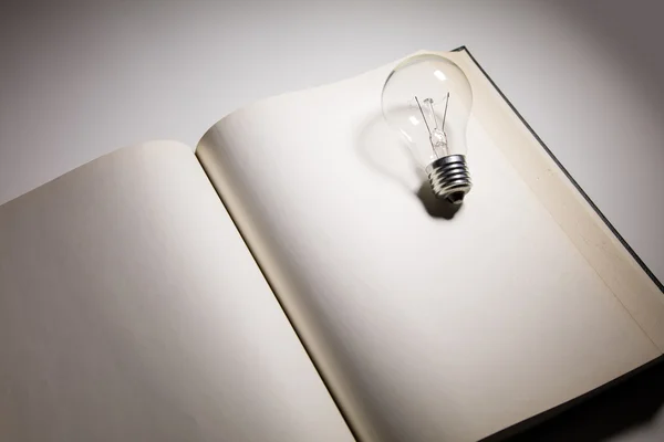 A könyv és a villanykörte — Stock Fotó