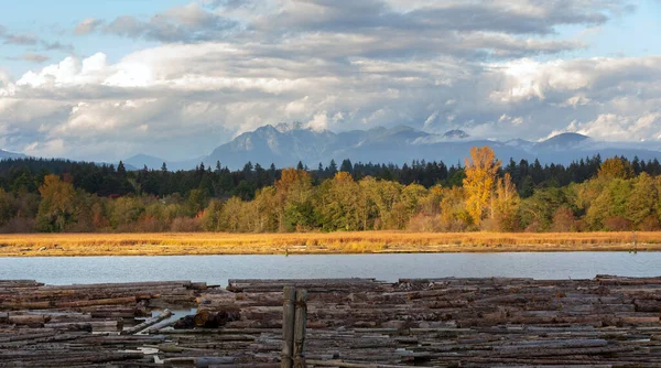 Fraser Rivier Herfstkleuren Bij Vancouver British Columbia Canada Rechtenvrije Stockafbeeldingen