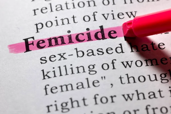 Diccionario Falso Diccionario Definición Feminicidio — Foto de Stock