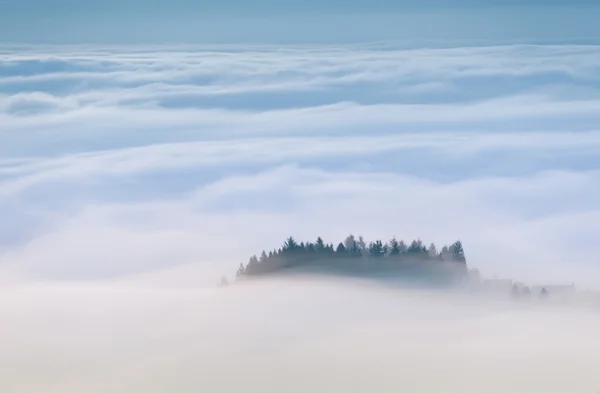 Nebbia marina — Foto Stock