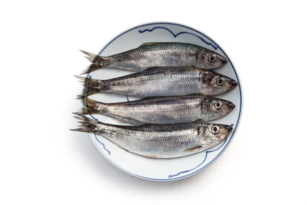 Fresh herring — Stock Photo, Image