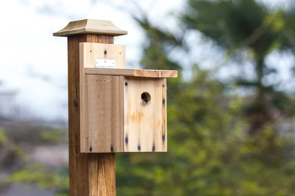 Diy houten vogelhuisje — Stockfoto