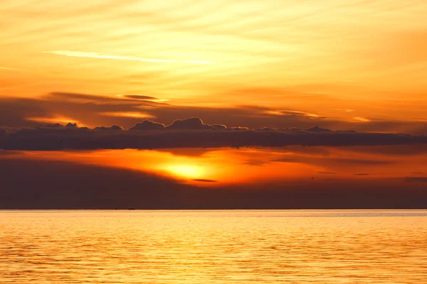Güzel golden sunset — Stok fotoğraf