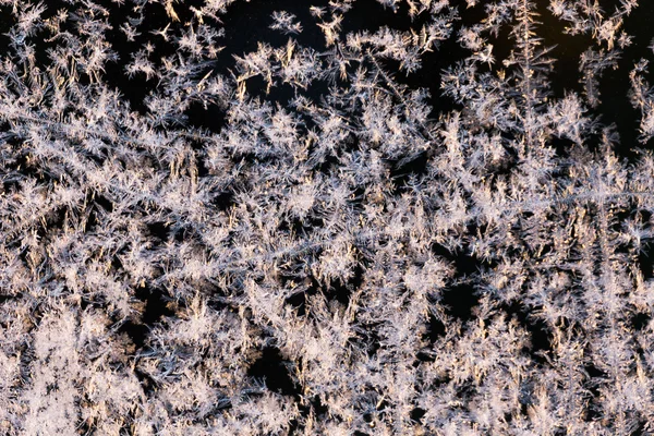 Frozen window glass — Stock Photo, Image