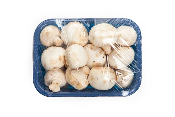 Funghi in scatola di plastica blu — Foto Stock