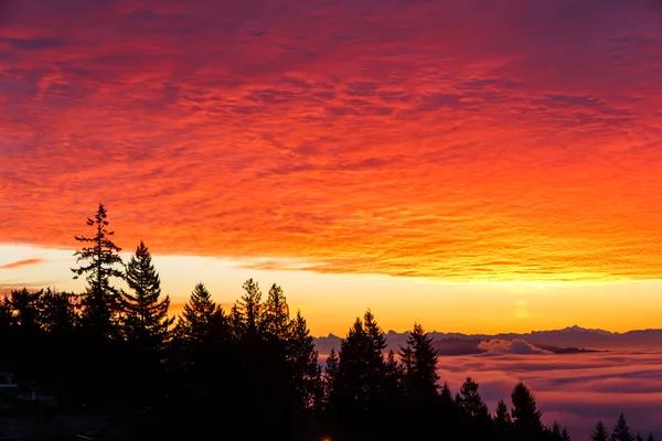 Red morning glow — Stock Photo, Image