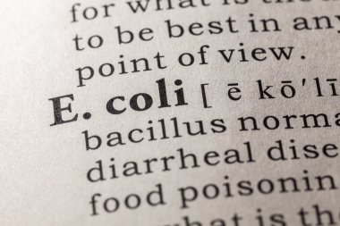 E. coli kelimesinin anlamını