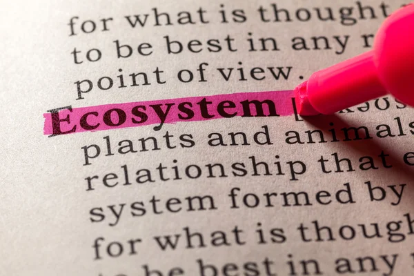 Definition of the word ecosystem — Stock Photo, Image