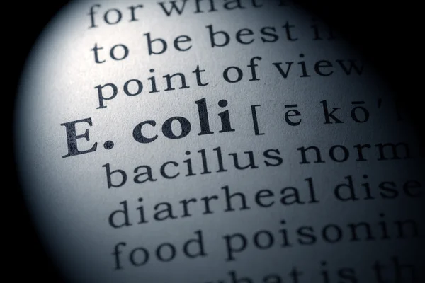 Definição da palavra E. coli — Fotografia de Stock