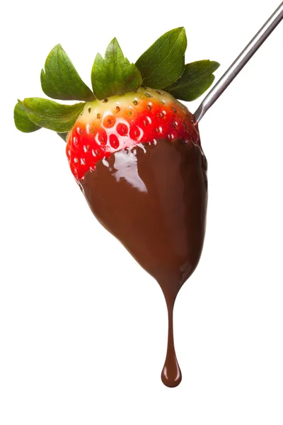 Strawberry dipped in chocolate on fondue skewer. — Stock Photo, Image