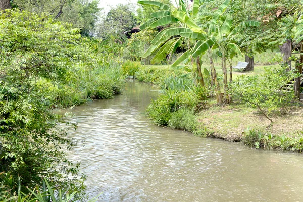 タイ王国の小さな運河の眺め 木の家や多くの木の横にタイの文化や生活様式 — ストック写真