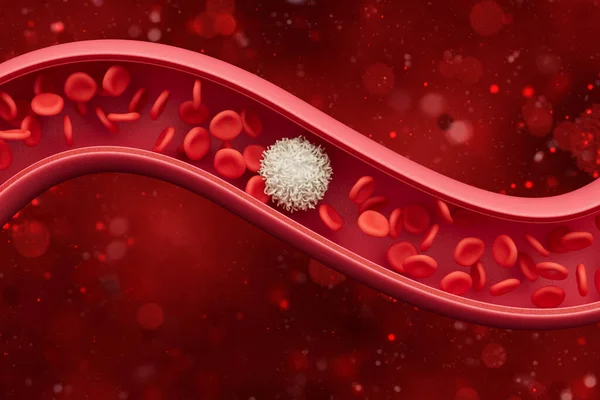 Vörös Vérsejtek Egy Artériában Véna Véráramlás Egy Élő Szervezetben Tudományos — Stock Fotó