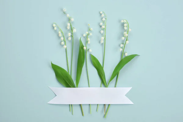 Kompozycja z białymi kwiatami.Kreatywny układ lilii doliny na jasnozielonym tle. Koncepcja minimalizmu. — Zdjęcie stockowe