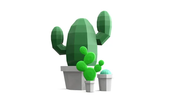 Viszont Kaktusz Alacsony Poligon — Stock Fotó