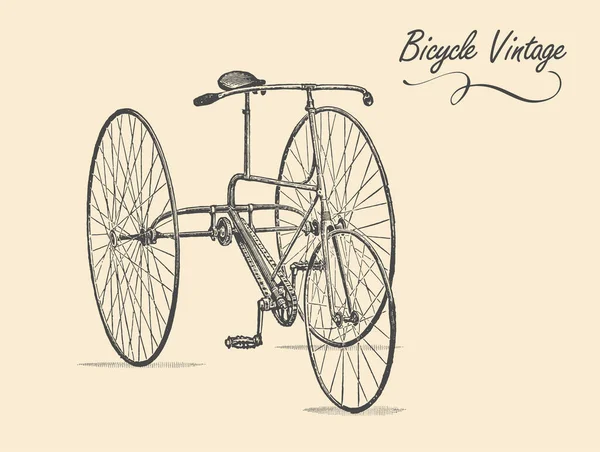 Velha Bicicleta Vintage Clássica Vetor —  Vetores de Stock