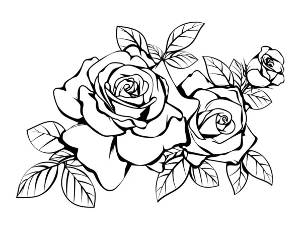 美しい黒と白の花束がバラと葉の花の配置は背景に隔離された — ストックベクタ