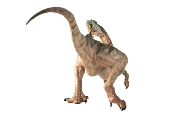 Chilsaurus Dinosaurus Bílém Pozadí — Stock fotografie