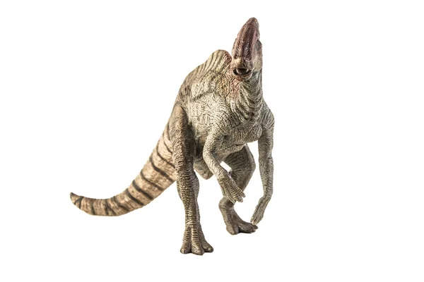 Dinosauro Parasaurolophus Sfondo Bianco — Foto Stock