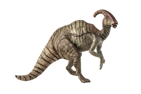 Паразауролофус Динозавр Белом Фоне — стоковое фото