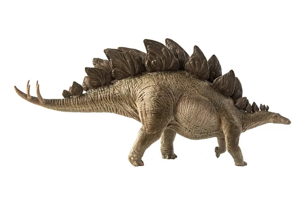 Stegosaurus Dinosaurus Witte Achtergrond — Stockfoto