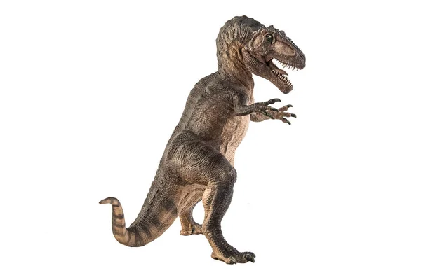 Giganotosaurus Dinosaur White Background — Stock Photo, Image