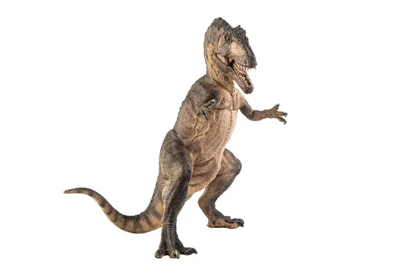 Dinosaurio Giganotosaurus Sobre Fondo Blanco — Foto de Stock