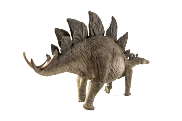 Динозавр Стегозавр Белом Фоне — стоковое фото