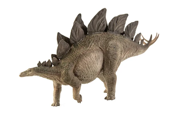 Beyaz Arkaplanda Stegosaurus Dinazoru — Stok fotoğraf