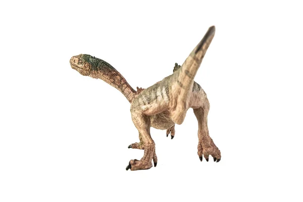 Chilsaurus Dinosaurus Bílém Pozadí — Stock fotografie