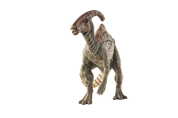 Parasaurolophus Dinosaura Bílém Pozadí — Stock fotografie