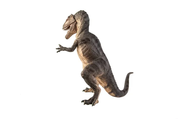 白い背景にギガノトサウルス恐竜 — ストック写真